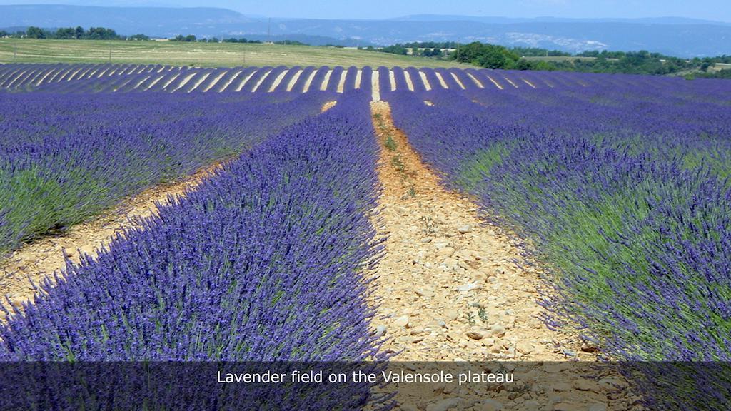 Lou Paradou Gréoux-les-Bains Exteriér fotografie